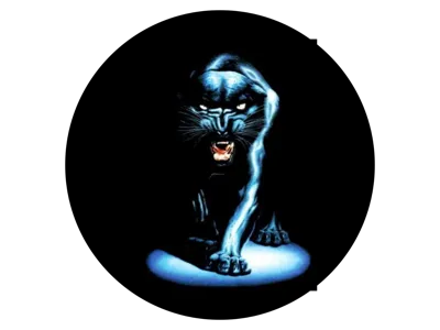 Panthers Clockface #2