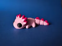 Axolotl, Multicolor