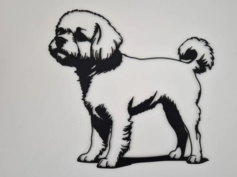 Bichon havanais 2d art