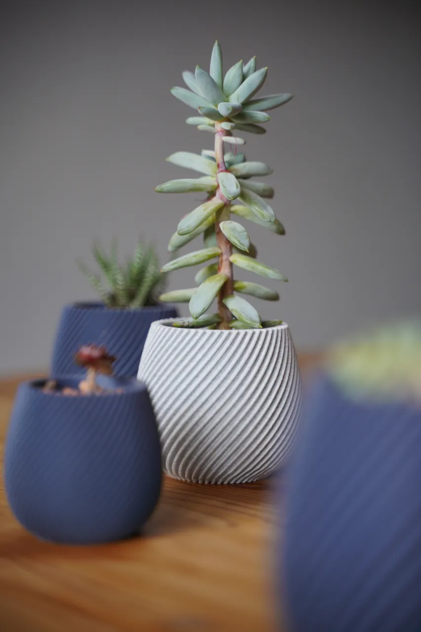 Modern spiral planter view 4
