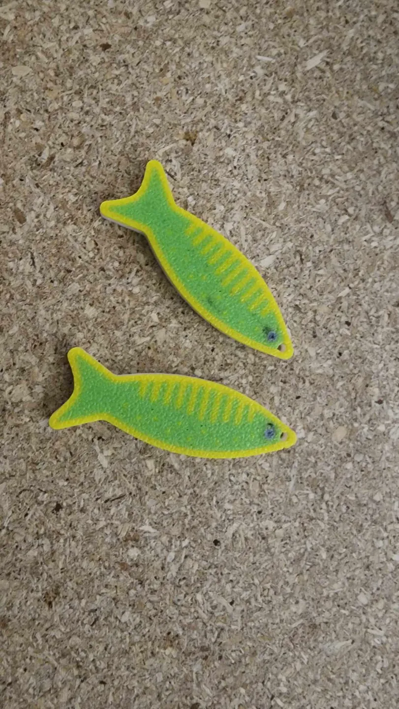 Olivia's Salty Sardine Earring view 3