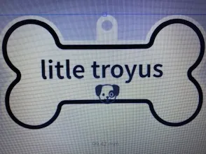 DOG NAME TAG
