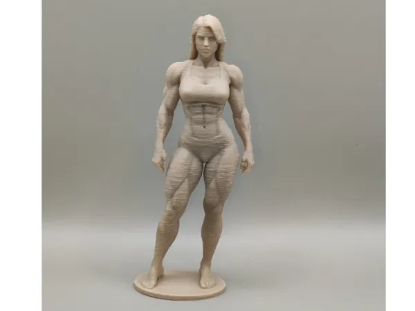 https://makerworld.bblmw.com/makerworld/model/USca598490bdf093/design/2025-12-19_241e3bce5b1e38.jpg