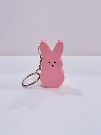 AMS Required - 16.2mm slot - Keychain