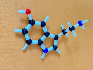 Chemically Accurate Serotonin