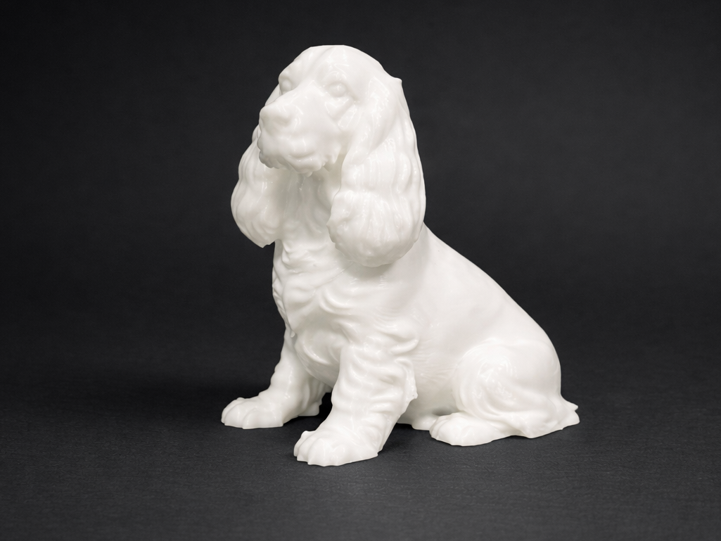 Sitting English Cocker Spaniel - Animal - Dog 