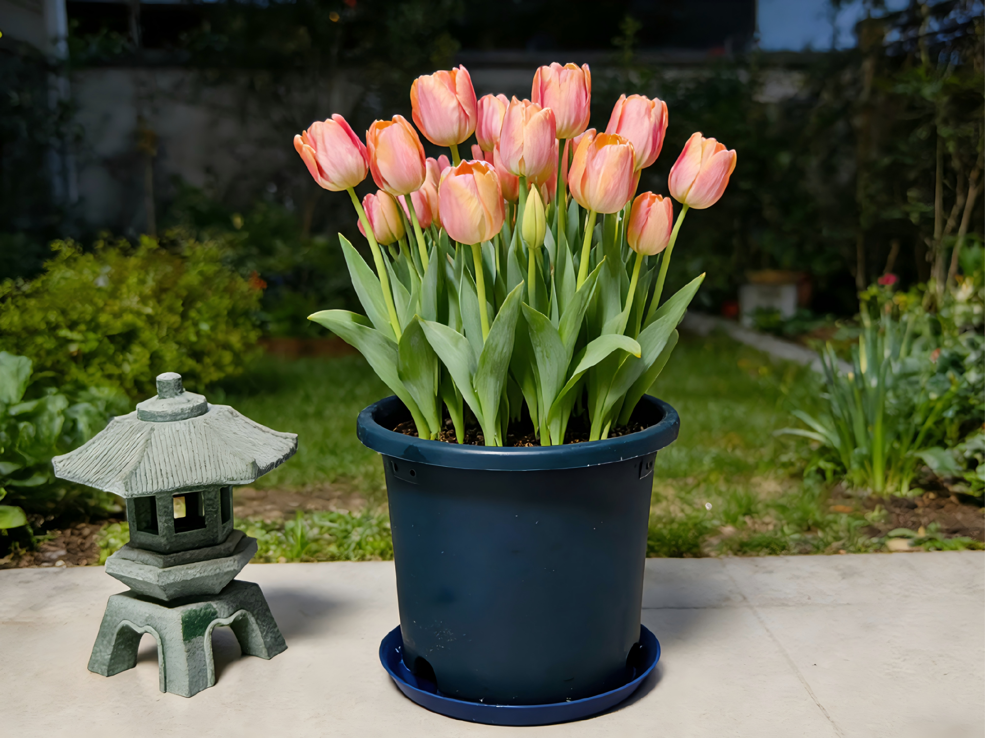 悬空透气防烂根花盆托盘 花盆底座 垫高底托|3D 打印园艺配件|十种尺寸配置