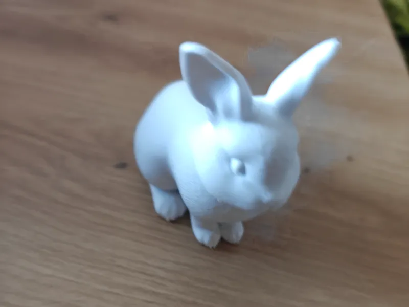 Cute Bunny 