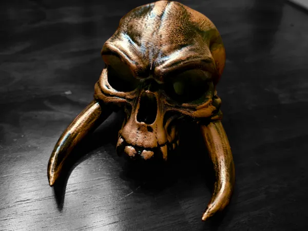https://makerworld.bblmw.com/makerworld/model/USca6400e775fa82/design/2025-05-06_4f65110aba5a6.png