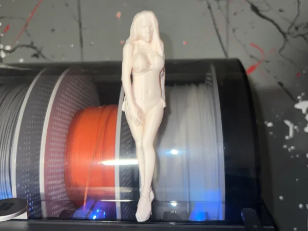 https://makerworld.bblmw.com/makerworld/model/USca66c00c08460/design/2025-02-23_8219cbae0cae8.jpg