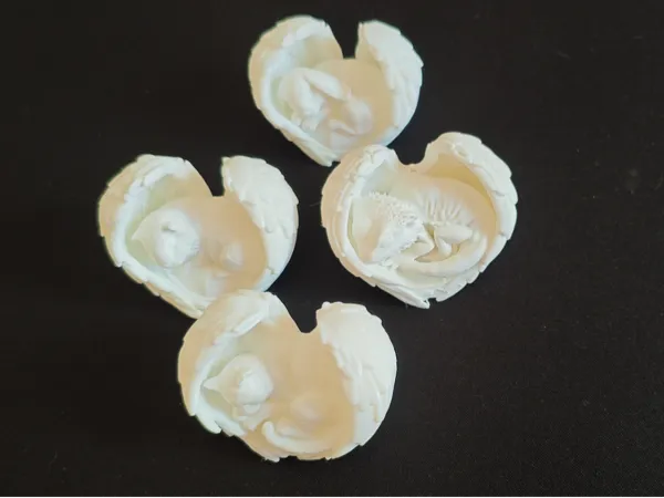 https://makerworld.bblmw.com/makerworld/model/USca673c182ed93a/design/9678d0057928f05f.jpg