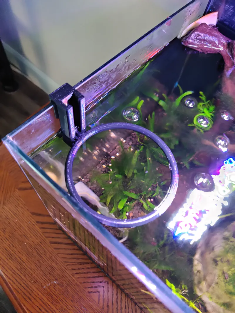 Fish Feeder Ring