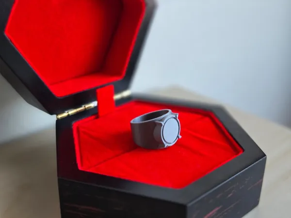 https://makerworld.bblmw.com/makerworld/model/USca7c13471121b9/design/deab254907cb2eff.jpeg