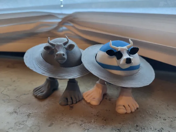 https://makerworld.bblmw.com/makerworld/model/USca7ed444ec2cb9/design/2025-05-14_a66b48660916c.jpg