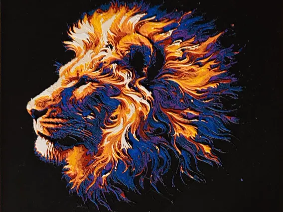 Lion King Multicolor