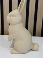 0.12mm layer, 2 walls, 5% infill