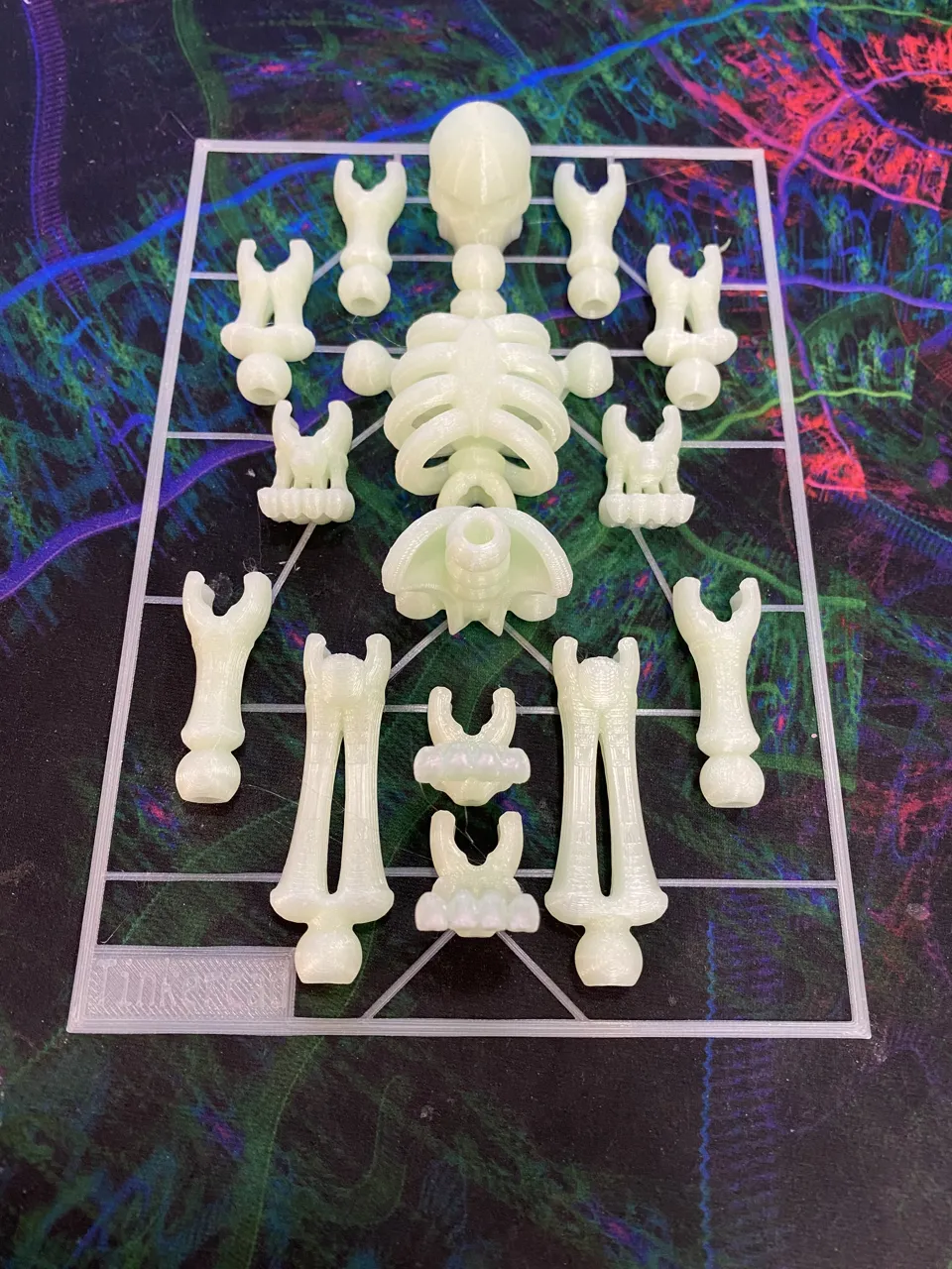Skeleton Kit Card-Tinkercad view 2