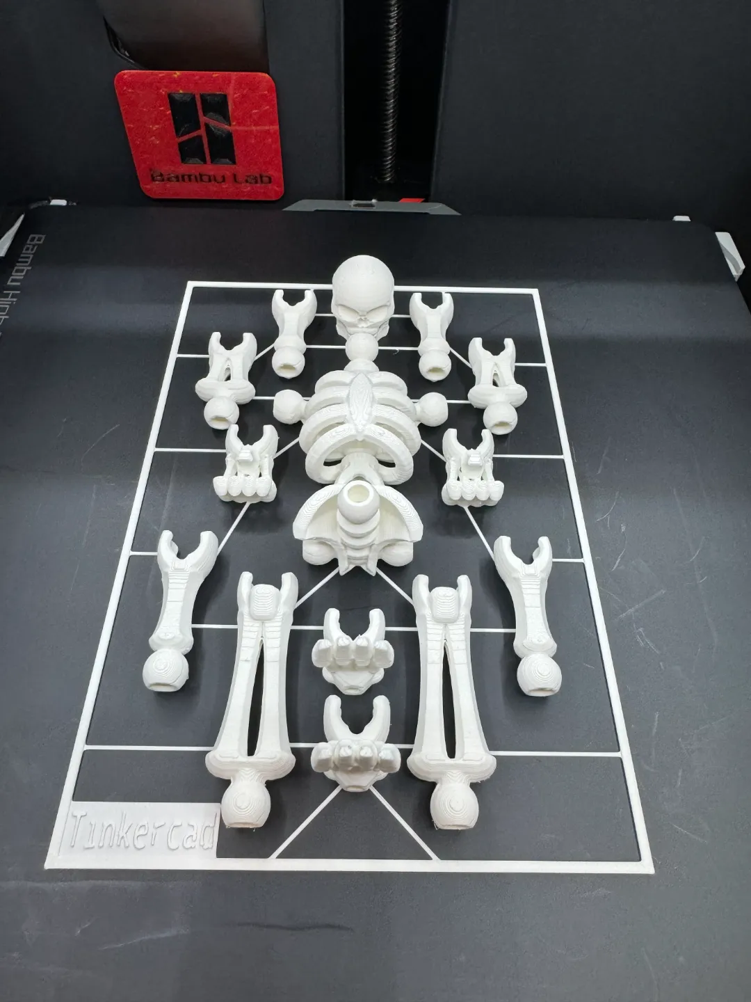 Skeleton Kit Card-Tinkercad view 4