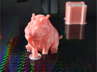 Cute Hippo