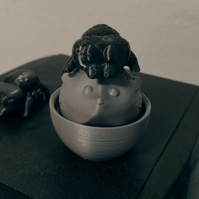 Cute Hedgehog