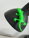0.16mm layer, 2 walls, 15% infill