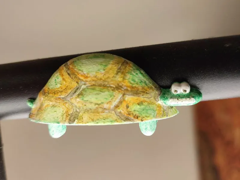 Weird turtle magnet 
