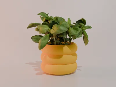Hoya (An emotional flower pot)