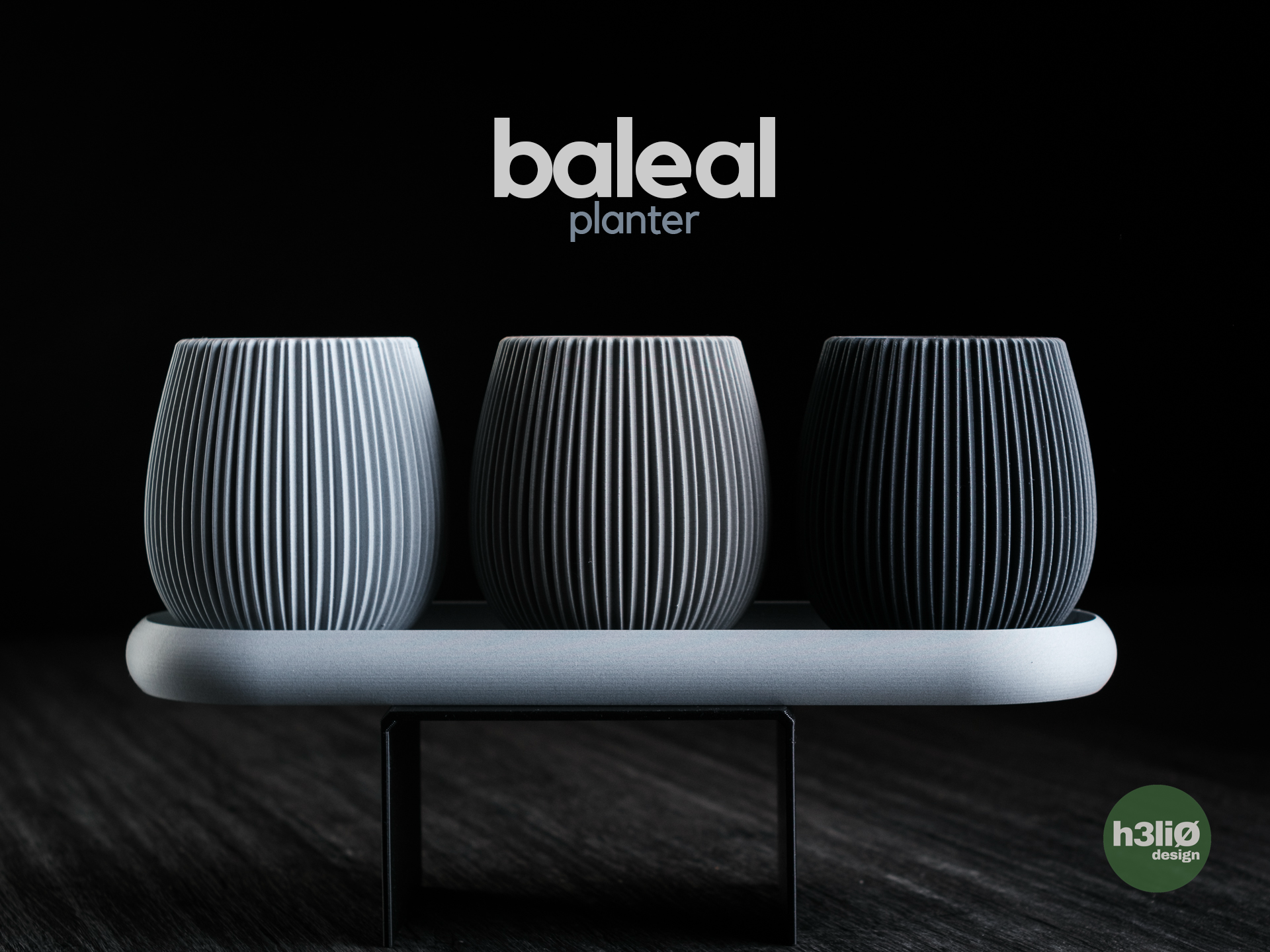 baleal • planter