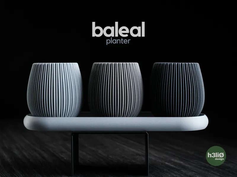 baleal • planter