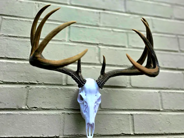 https://makerworld.bblmw.com/makerworld/model/UScaabf17e133298/design/944b12bbb6400b80.jpg