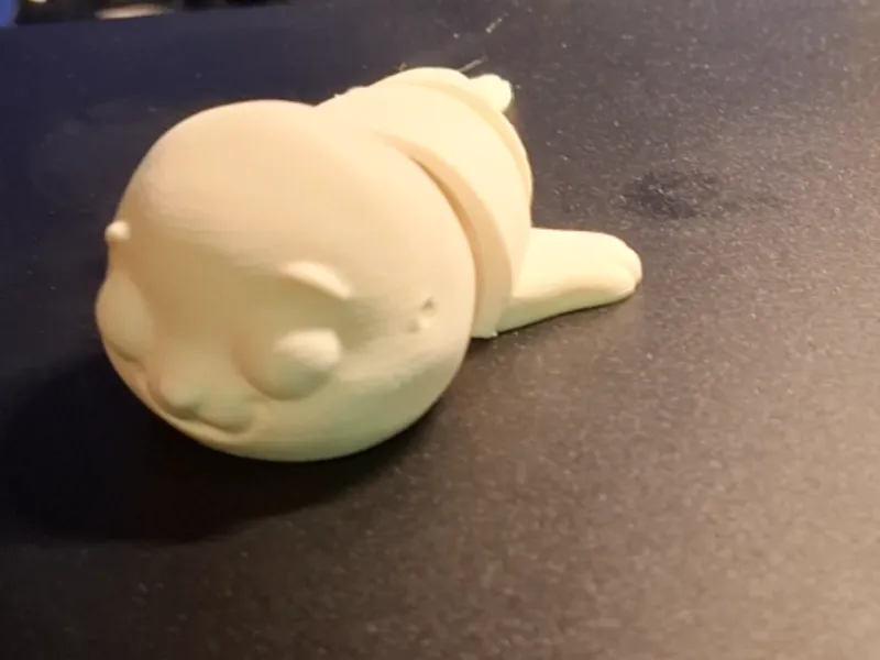 flexi seal