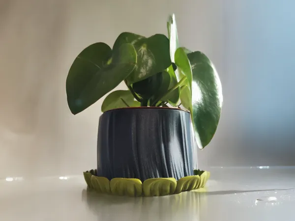 https://makerworld.bblmw.com/makerworld/model/UScab17be867f7ac/design/2025-01-22_6c1783d8fd7da.jpg