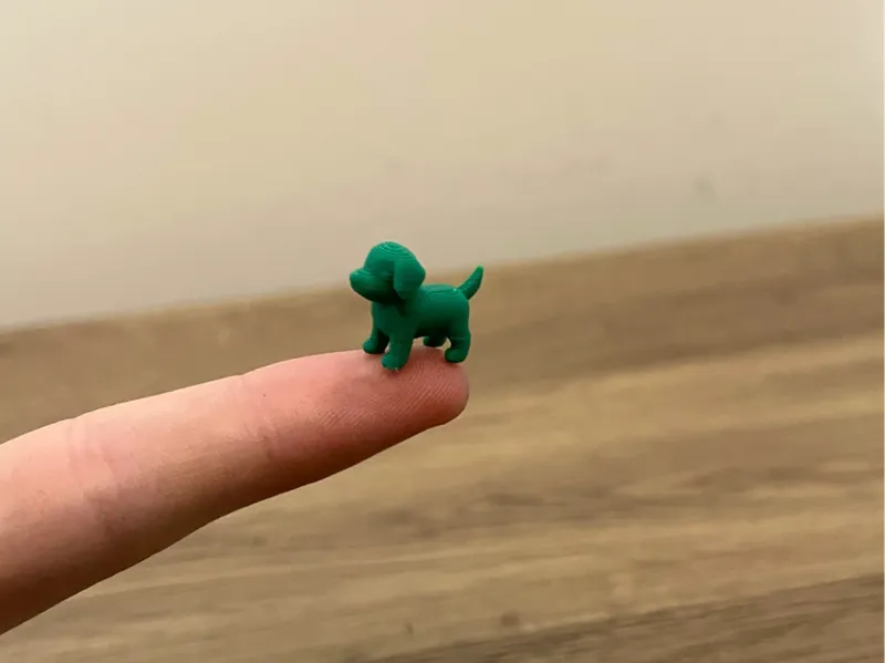 Worlds Smallest Dog