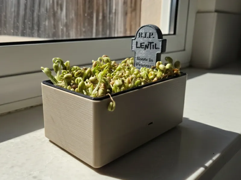 R.I.P. – Roots In Progress