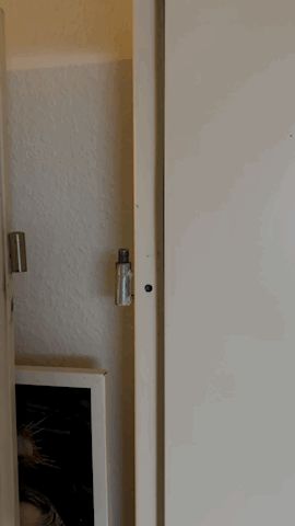 Einhängehilfe für Zimmertüren