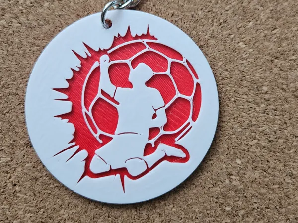https://makerworld.bblmw.com/makerworld/model/UScab864aa925691/design/2025-04-19_7e6615f3727fa8.jpg