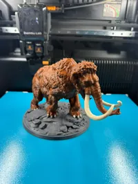coloured 0.2mm layer, 3 walls, 10% infill