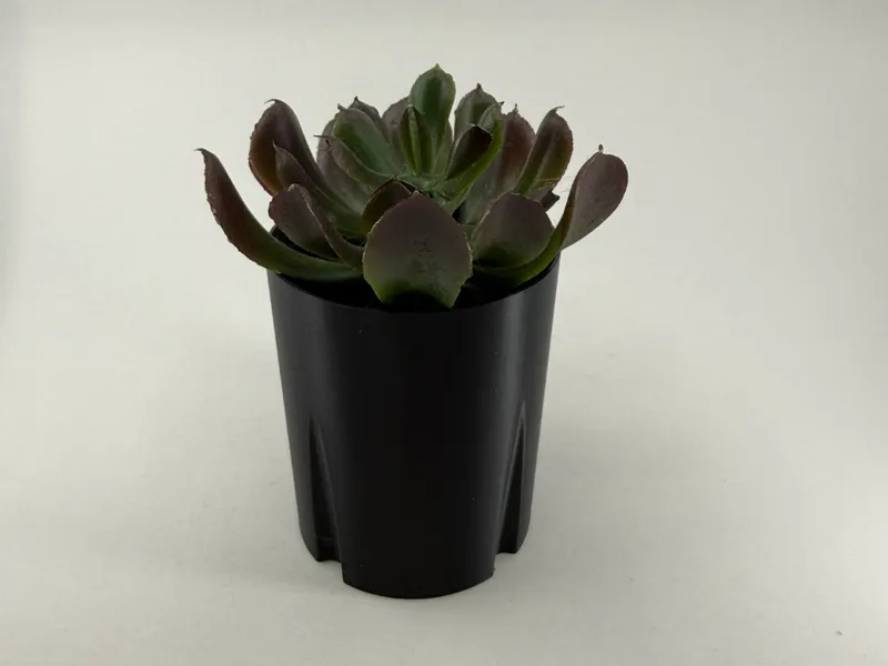 Seed starter pots 63.5mm 2.5 inch 32 per 1020 tray