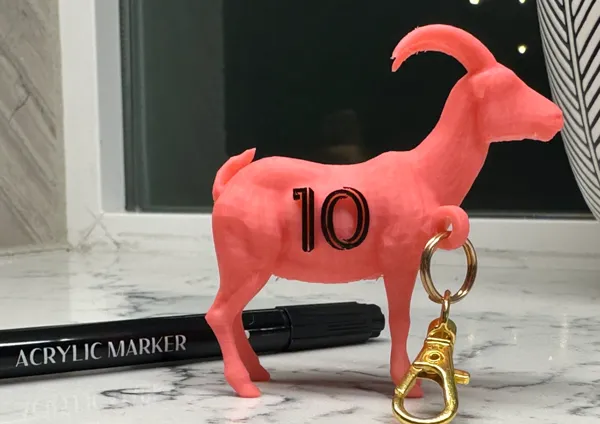 https://makerworld.bblmw.com/makerworld/model/UScabd65a187876d/design/2025-01-08_ce8146f0fb40f.jpg
