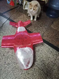 PETG材质