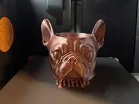 Pot à crayons bouledogue français — photo 1