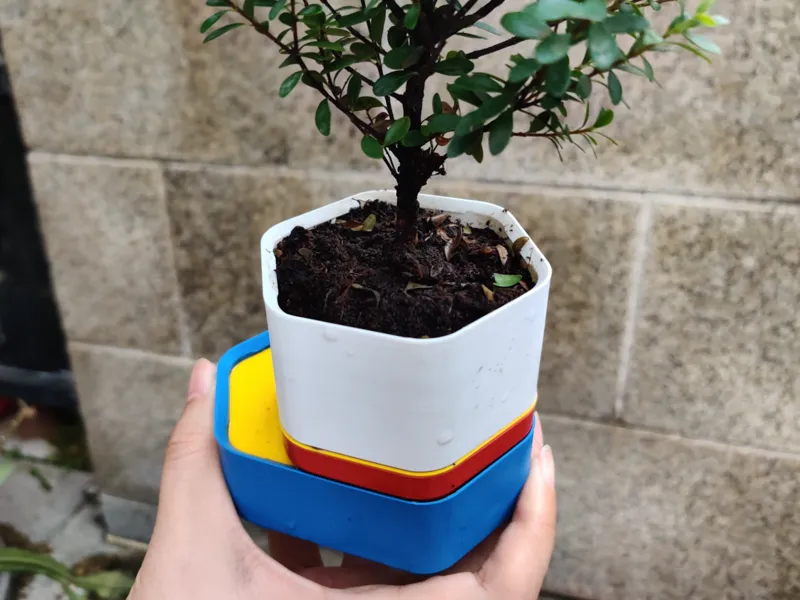 Mote Pot 主题配色模块花盆
