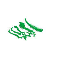 Puzzle 3D squelette de T-Rex — photo 3