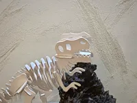 Puzzle 3D squelette de T-Rex — photo 2
