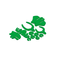 Puzzle 3D squelette de T-Rex — photo 5