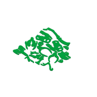 Puzzle 3D squelette de T-Rex — photo 4