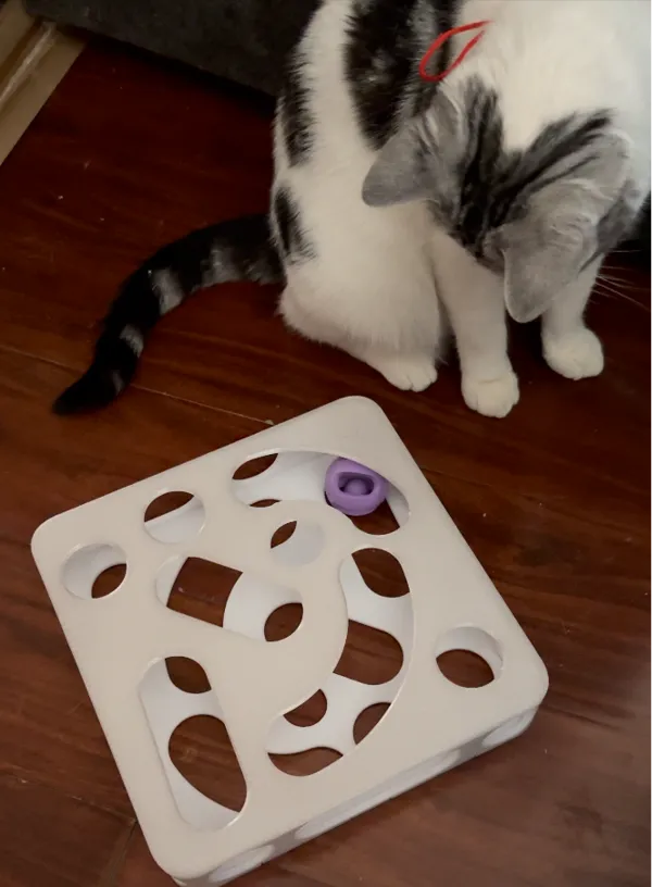 https://makerworld.bblmw.com/makerworld/model/UScada06239d9d13/design/2024-05-18_6e6c79cebfb688.png