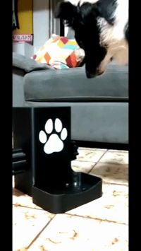Interactive Spin Puzzle