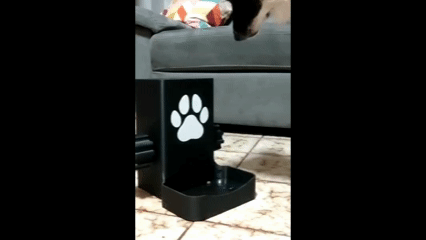 Interactive Spin Puzzle, Dog Treat Dispenser