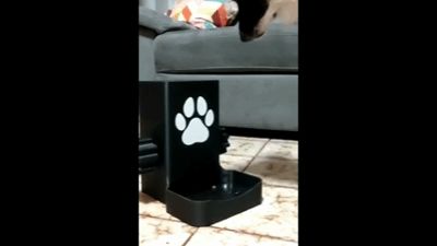 Interactive Spin Puzzle, Dog Treat Dispenser